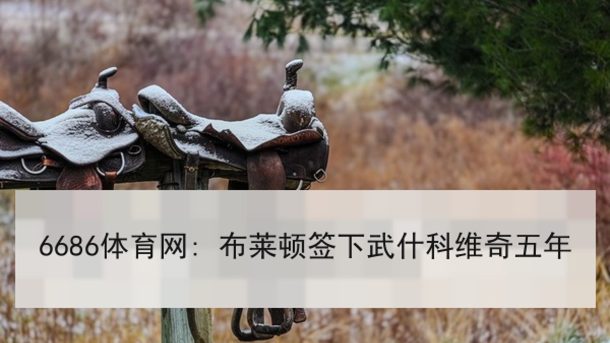 6686体育网: 布莱顿签下武什科维奇五年 6686体育网: 布莱顿签下武什科维奇五年